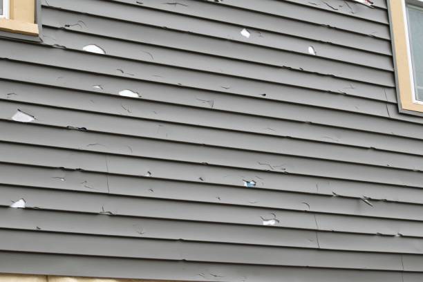 Best Brick Veneer Siding  in St Johns, MI