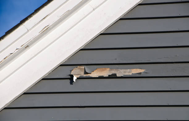 Best Residential Vinyl Siding Installation  in St Johns, MI