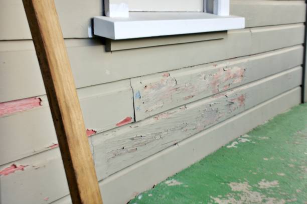 Best Fascia and Soffit Installation  in St Johns, MI