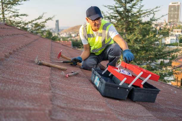 Best Composite Siding  in St Johns, MI